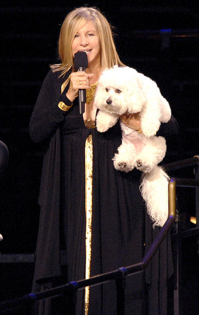 barbara-streisand-and-her-dog-sammie-on-tour-with-her-oct-4-06.jpg