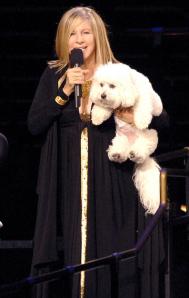 Η Barbara σε περιοδεία με τον σκύλο της...